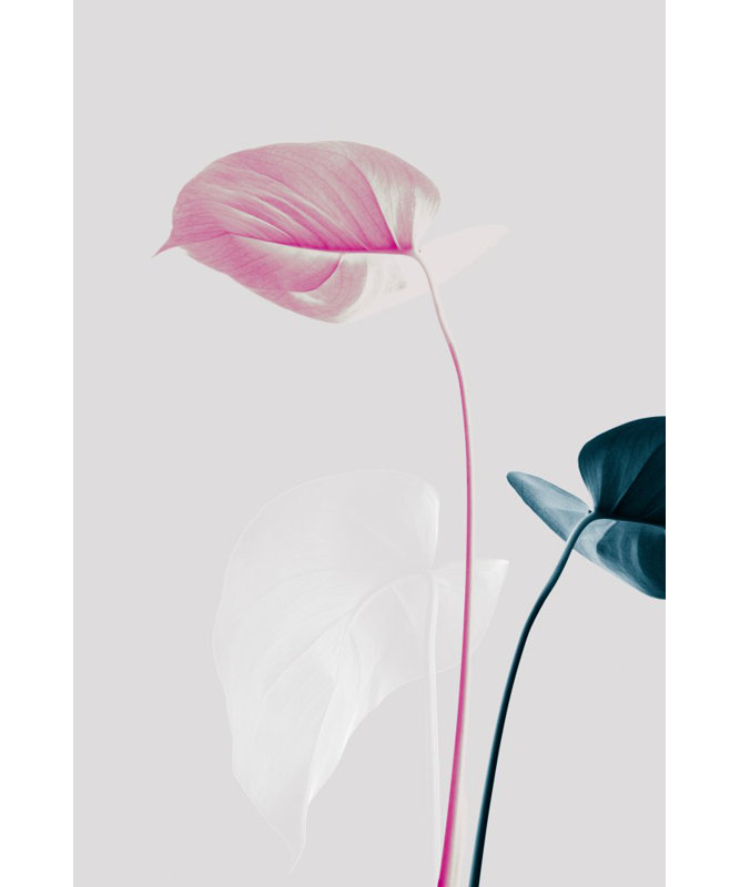 Wrapped Canvas Print, 121.92cm H x 81.28cm W