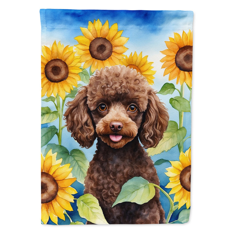 Lévrier irlandais dans le drapeau du jardin de tournesols, Jaune / caniche chocolat
