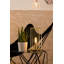 Core Metal Novelty Lamp