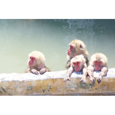 I Like Hot Springs - Wrapped Canvas Print