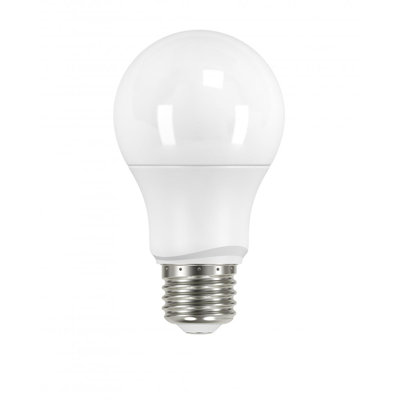 Roderick 6W A19 LED Non-Dimmable Bulb