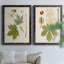 Toile antique encadrée VIIP-235527569-235527578