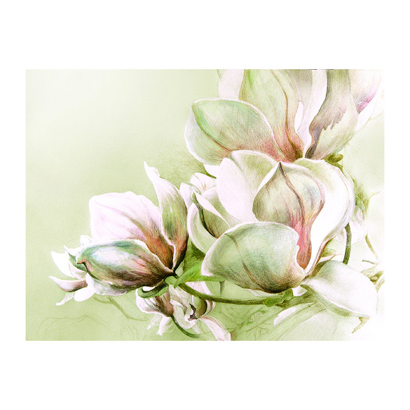 Himmet Matte Peel & Stick Mural, 360 x 250cm
