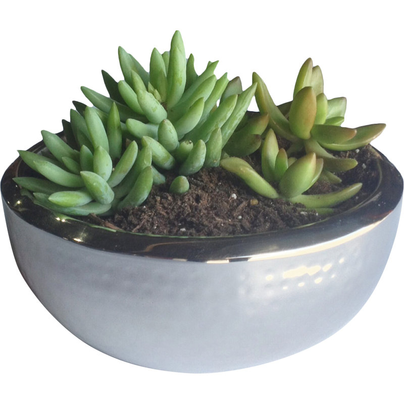 Metal Pot Planter