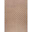 Geometric Area Rug in Brown