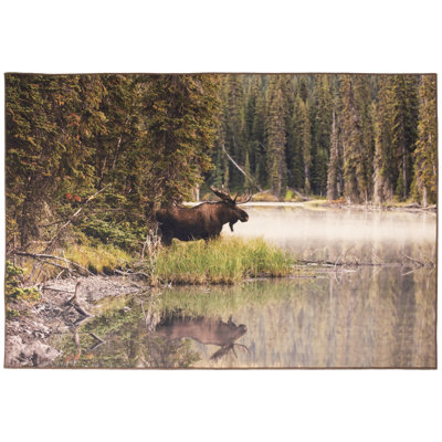 Tapis Moose
