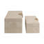 Sagebrook Home 2-Pieces Pretoria Suede Boxes With Metak Hardware