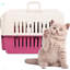 Cage en plastique pour chat et chien