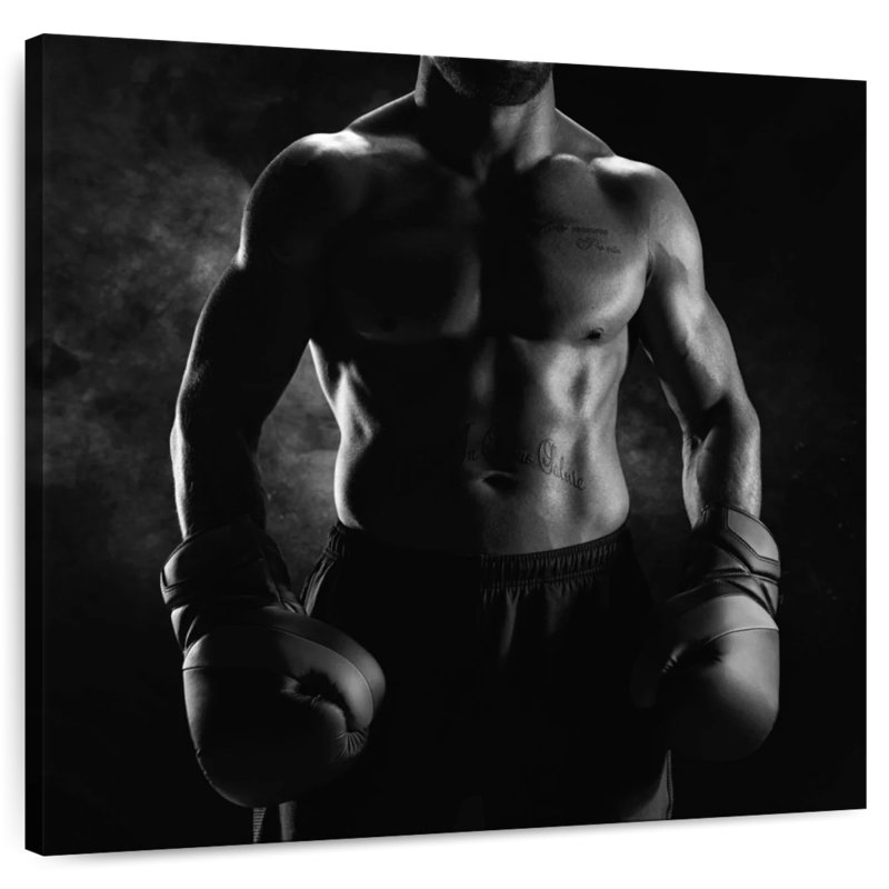Sireci Muscular Boxer
