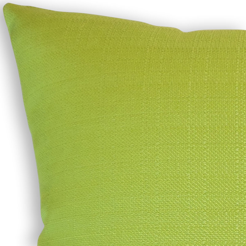 Coussin décoratif intérieur / extérieur Brisyn, Hauteur (18 po) x largeur (18 po), Vert