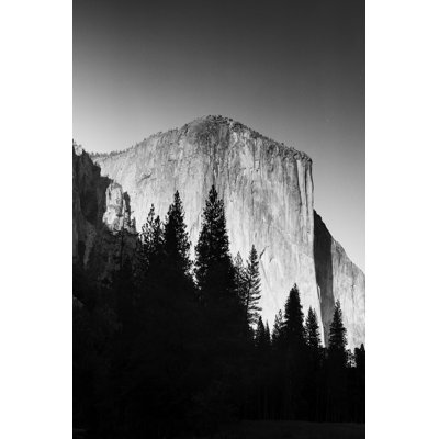 El Capitan In Trees by Bradford Smith - Print on Canvas