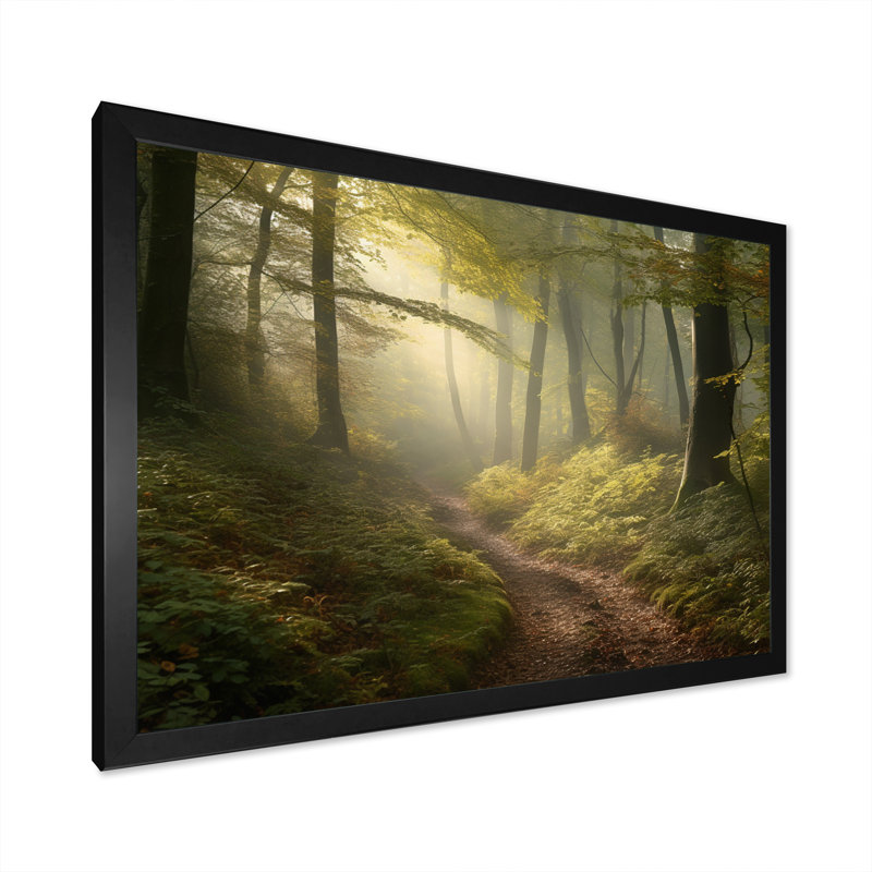 Sentier brumeux dans les bois II - impression, Cadre photo noir, H 12 po x l 20 po x P 1 po