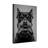 Animals Dog Holding Game Controller In Mouth-1784174429-1784174431-1784174428