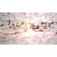 Walk-in Greenhouse, croissance de plantes, maison chaude, vert