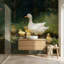 Décoration murale nature canard-1144466245-1144466240