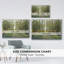 Forest Path encadré sur toile-94360478-94360473