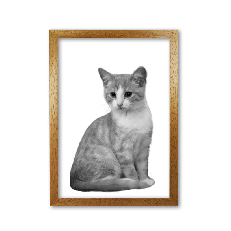 Cat - Print, Honey Oak Frame, 42 cm H x 30 cm W x 5 cm D