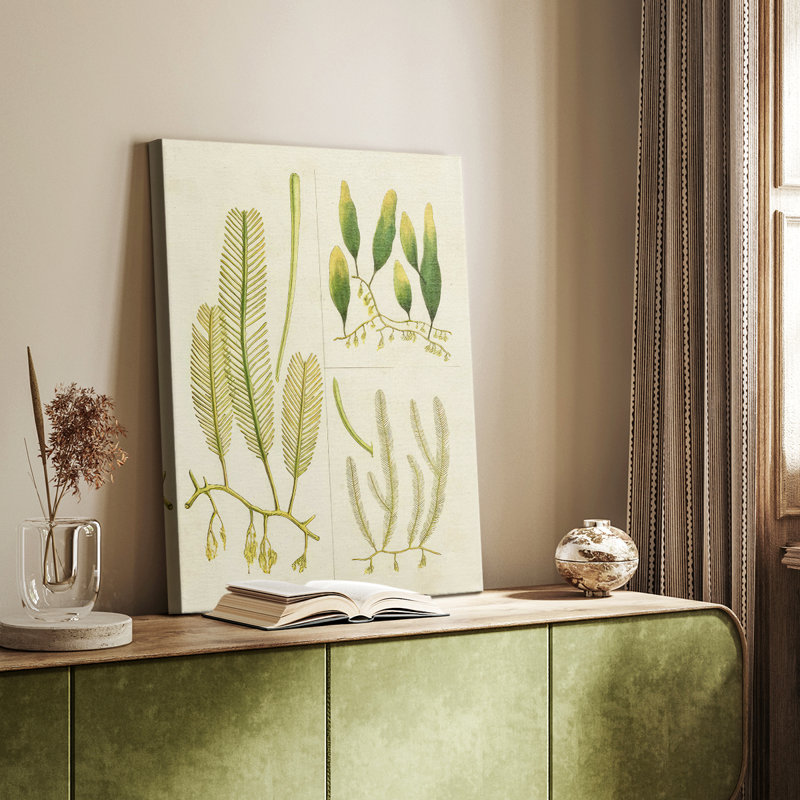 Herbe de mer rétro I - galerie Cavas sur mesure, H 60 po x l 40 po