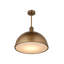 Cupola Pendant-2076811230