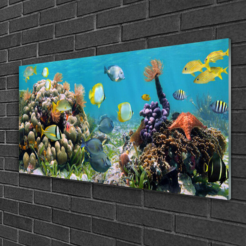 Nature Coral Reef - Unframed Photograph on Glass