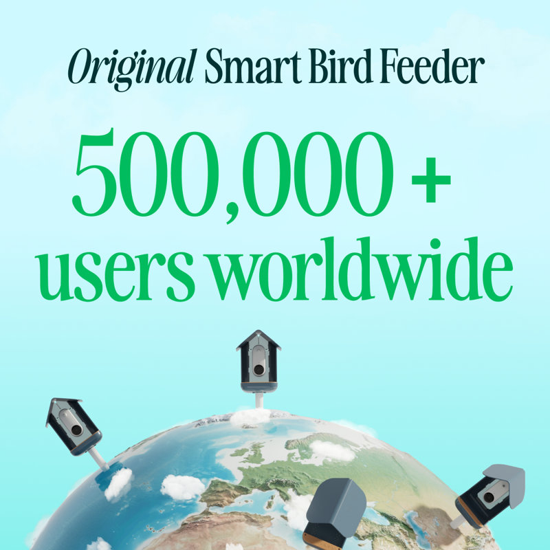 Birdbuddy Smart Solar Pro Hummingbird Feeder With Camera + Extra Base