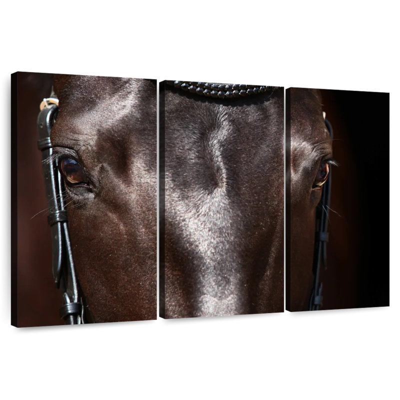 Horse Face, 20" H x 33" W