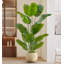 Simulation de banane grande plante verte-111038292-111038295