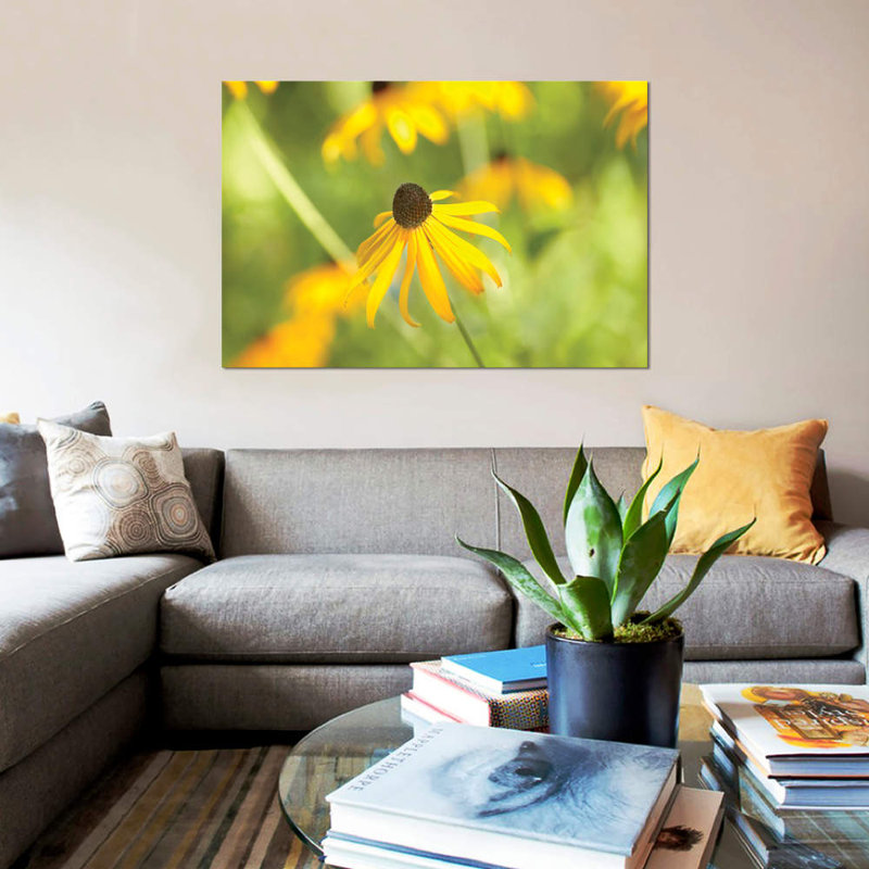 « susan study i », reproduction de photo sur toile, H 8 po x l 12 po x P 0,75 po, Toile tendue, Pas de tapis