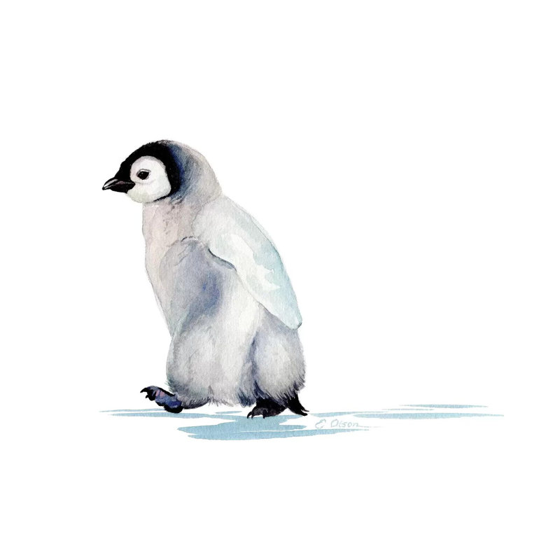 Polar Baby Penguin - Wrapped Canvas Painting, 30.48cm H x 30.48cm W