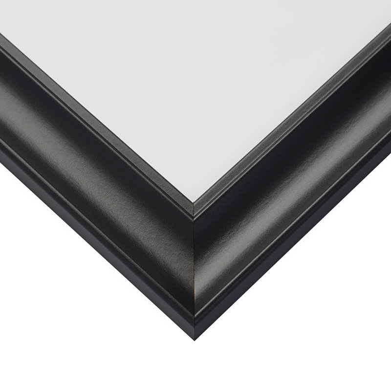 Toxey Beveled Picture Frame with Mat, 14" x 18" Matted to 12" x 16", Satin Black