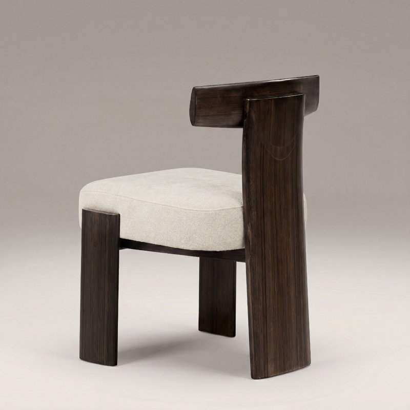 Olly Chair - Boxed Set Of 2
