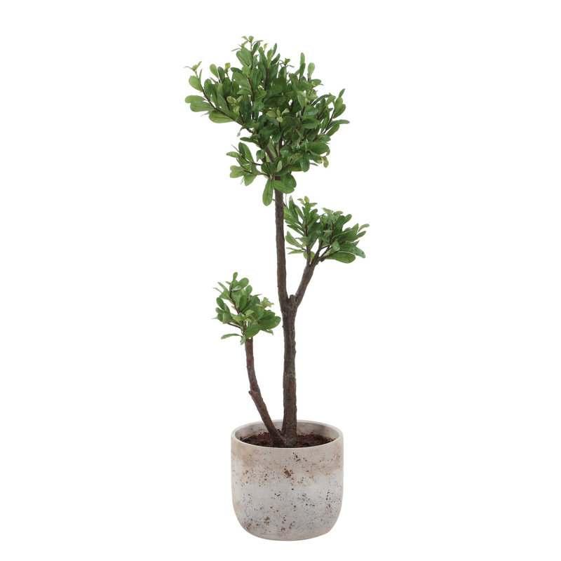 Uttermost Arbor Strawberry Tree