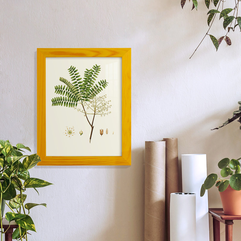 Printemps, feuillage vert vii encadré sur papier, impression, H 11 po x l 9 po x P 1 po, Jaune