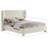 Hridhaan Upholstered Unfinished Wingback Bed-89228076-89228085