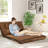 Fabricio Twin 48'' Upholstered Futon And Mattress-1107778560