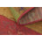 Merrimac Washable Floral Indoor / Outdoor Rug-1528481455