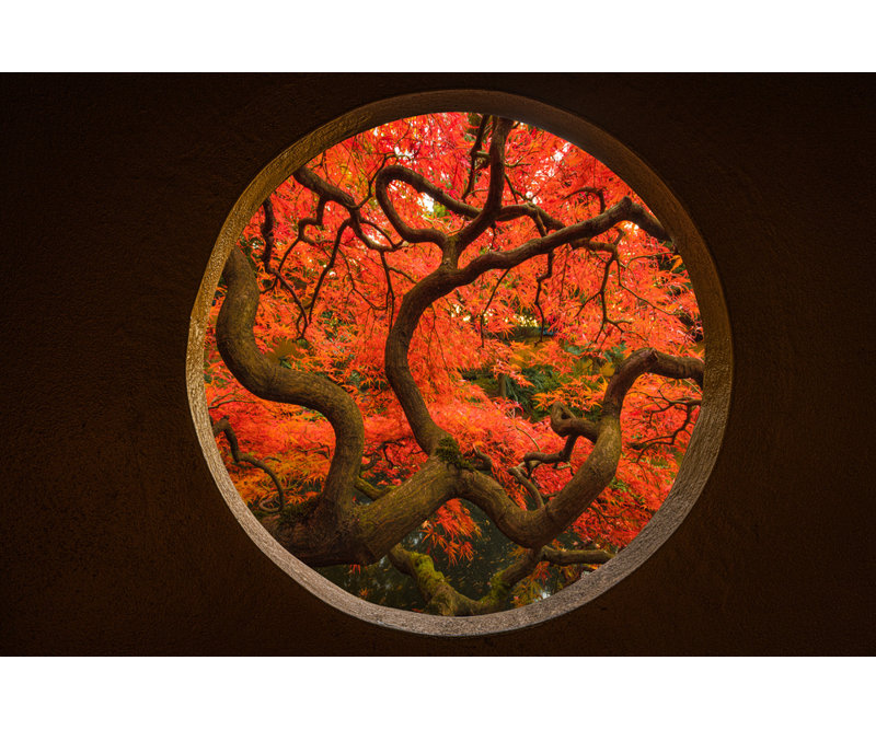 Wrapped Canvas Print, 50.8cm H x 76.2cm W
