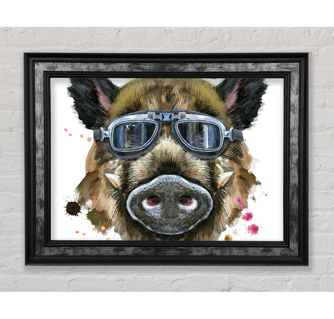 Das Wildschwein mit Brille - Einzelne Bilderrahmen Kunstdrucke