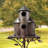 Nolte 74.25'' H x 12'' W x 9.25'' D Post Birdhouse-380924254