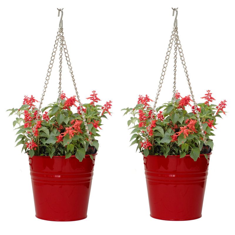 Arnkell Metal Hanging Planter, Red