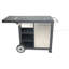 Razor 2 - Burner Freestanding Liquid Propane Gas Grill