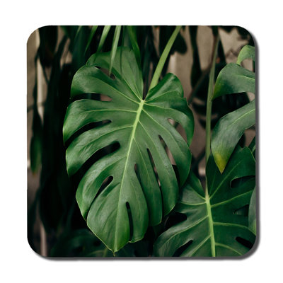 Dujuan Square 6 Piece Coaster Set