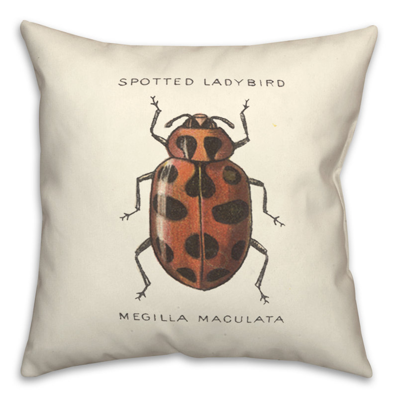  Ladybug Diagram Square Pillow Cover & Insert