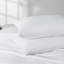 Taies d'oreiller en microfibre brossée Easy Care-119843531-120141873