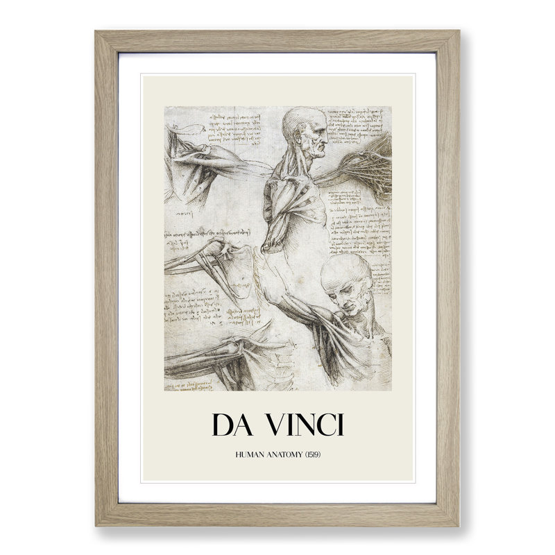 Human Anatomy Vol.3 by Leonardo Da Vinci - Picture Frame Drawing, Oak Framed, 36cm H x 27cm W x 2cm D