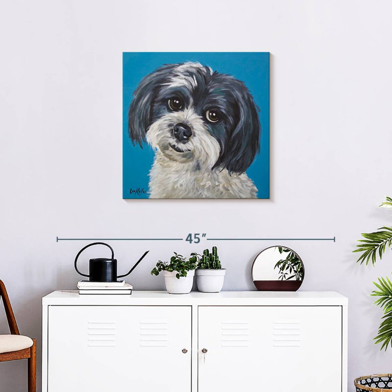 Crowle Maltese Shih Tzu Mix Maggie