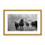 Nature Inspired Untitled by  - Picture Frame Photograph on Paper-81387803-131284508-131284586