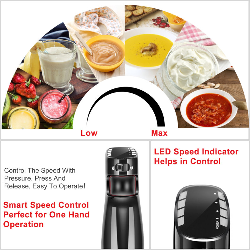 ICucina 2 Speed Hand Immersion Blender