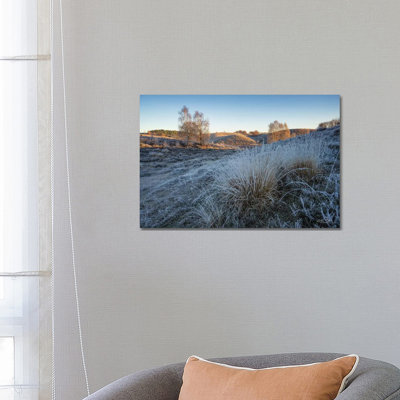 Cold as Ice 1 Piece Wrapped Canvas Wall Art