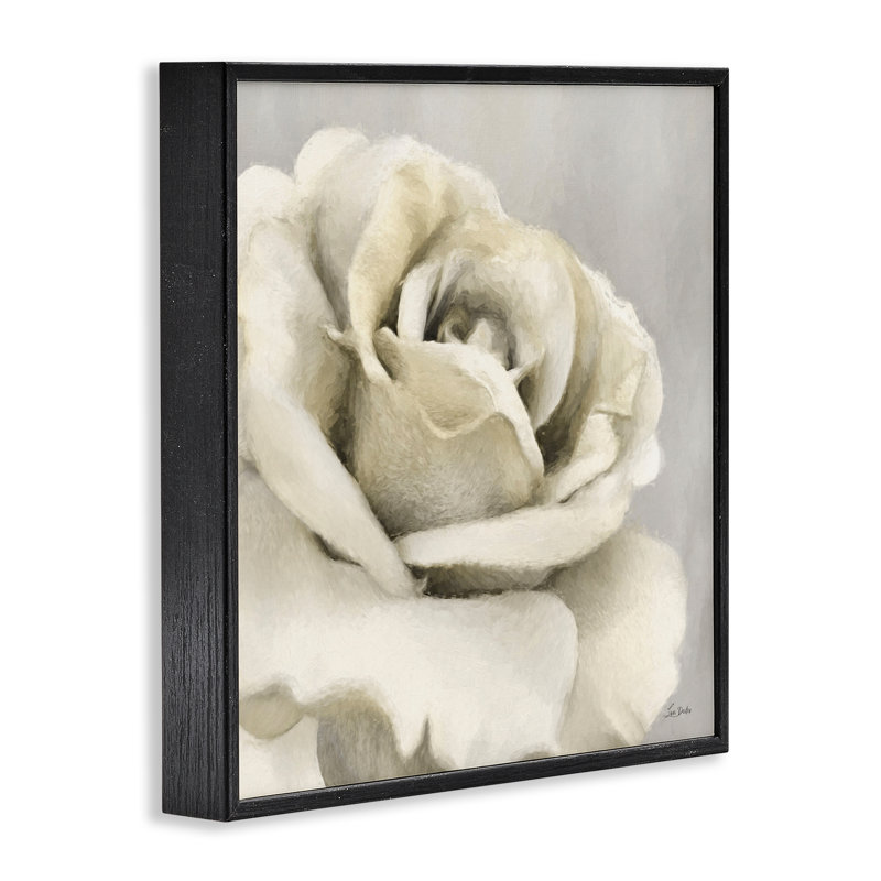 «Curling Rose Petals», art de la giclée encadrée par Lori Deiter, Giclée encadrée noir minuit, H 24 po x l 24 po